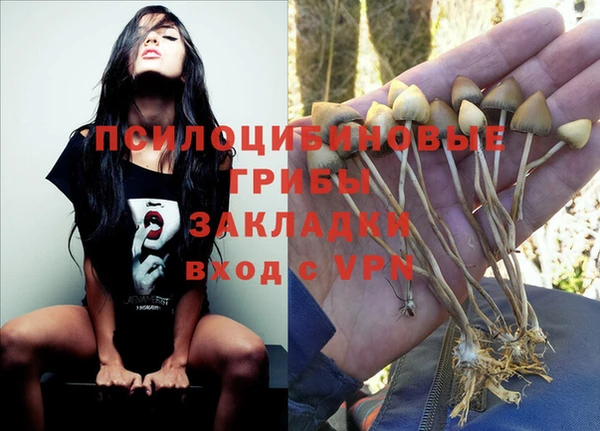 крисы Белая Холуница