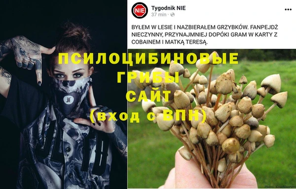 a pvp Надым