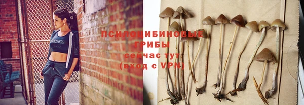каннабис Нефтекумск