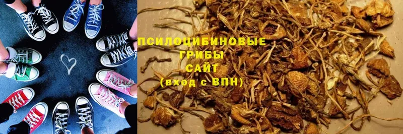 Галлюциногенные грибы GOLDEN TEACHER Грозный