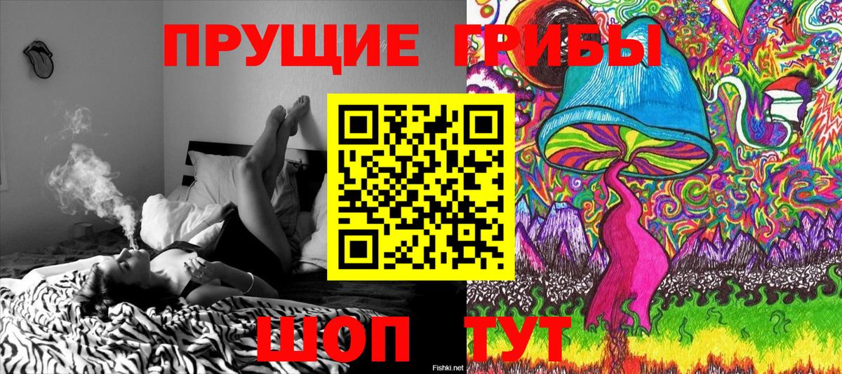 Грозный  Псилоцибиновые грибы Cubensis  Вход с VPN  Псилоцибиновые грибы Cubensis 