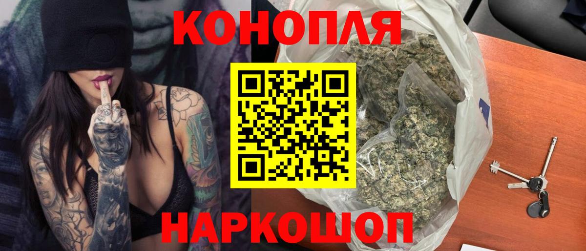 Конопля сатива Грозный